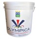 IDROPITTURA MURALE TRASPIRANTE - BRIO - OTTIMO POTERE RIEMPITIVO col.BIANCO 13LT (COPY)